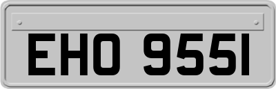 EHO9551