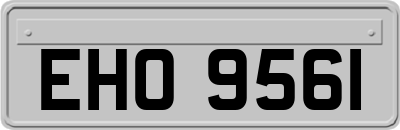EHO9561
