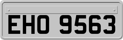 EHO9563