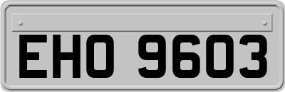 EHO9603