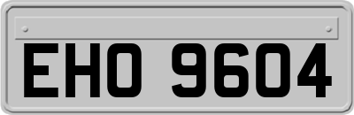 EHO9604