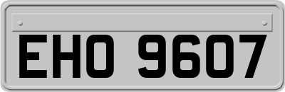 EHO9607