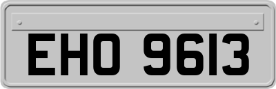 EHO9613