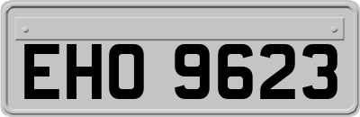 EHO9623