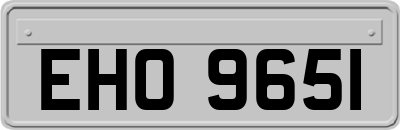EHO9651