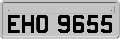 EHO9655