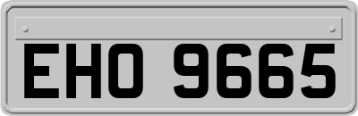 EHO9665