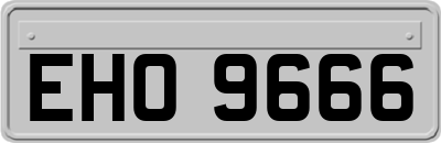 EHO9666