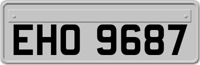 EHO9687