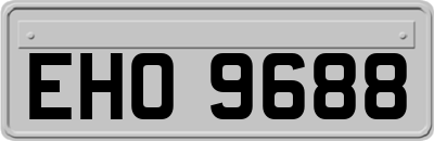 EHO9688
