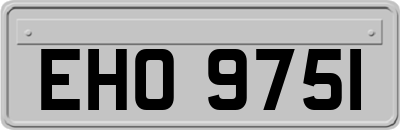 EHO9751