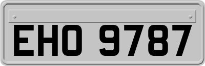 EHO9787