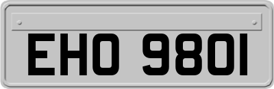 EHO9801