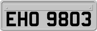 EHO9803