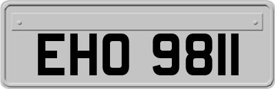 EHO9811
