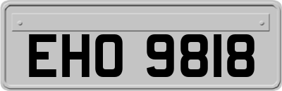 EHO9818
