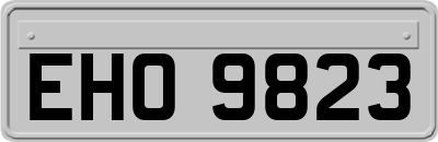 EHO9823