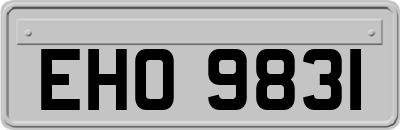 EHO9831