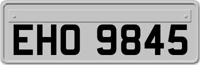 EHO9845