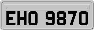 EHO9870