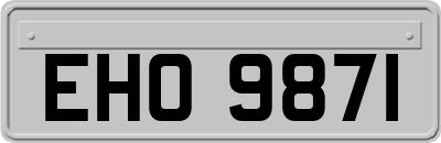 EHO9871