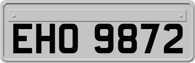 EHO9872