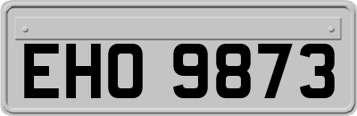 EHO9873