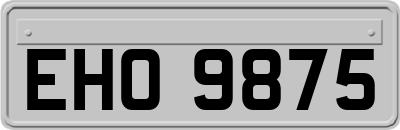 EHO9875