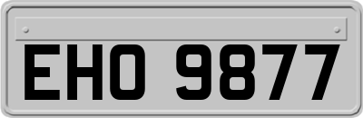 EHO9877