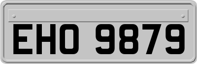 EHO9879