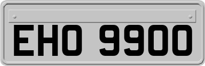 EHO9900