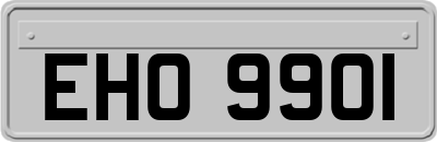 EHO9901