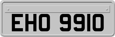 EHO9910
