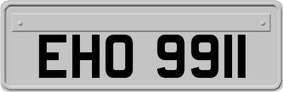 EHO9911