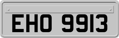 EHO9913