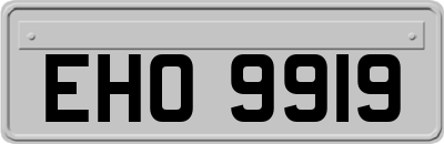 EHO9919