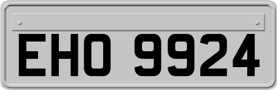 EHO9924