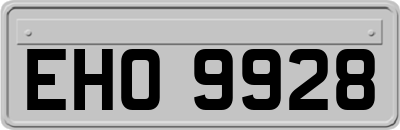 EHO9928