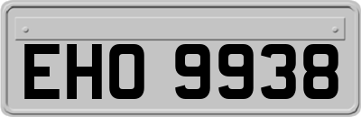 EHO9938
