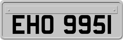 EHO9951