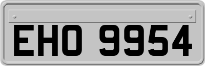 EHO9954