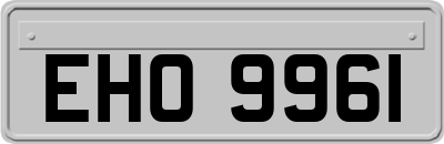 EHO9961