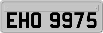 EHO9975