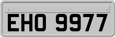 EHO9977