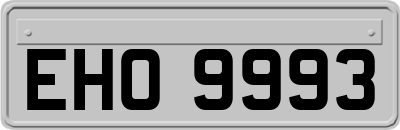 EHO9993