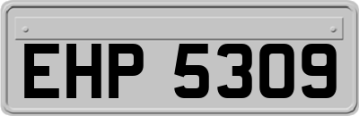 EHP5309