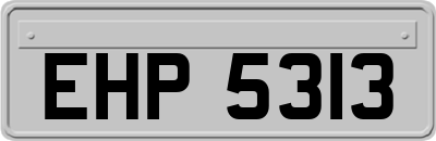 EHP5313