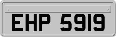 EHP5919