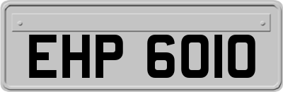 EHP6010