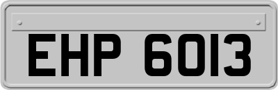 EHP6013